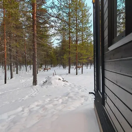 Fell Village 1 With A Mountain View, Fireplace, Sauna, Kitchen Vakantiehuis *